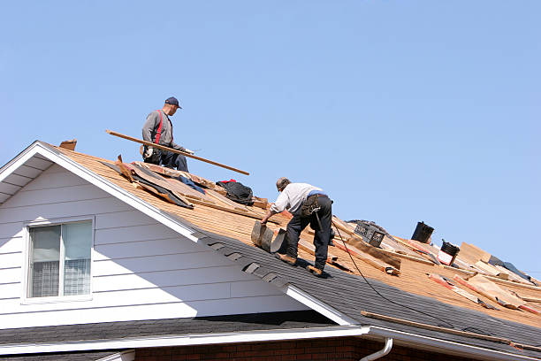 Best Cold Roofs  in Mantua, VA