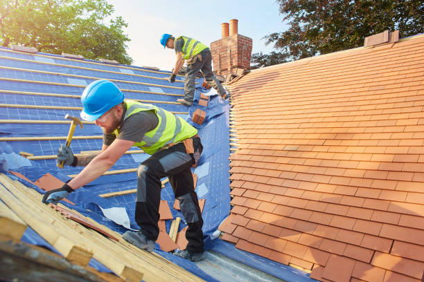 Best Sheet Metal Roofing  in Mantua, VA